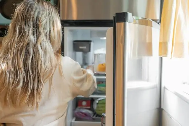 Cara Mencuci Kulkas yang Baik dan Benar